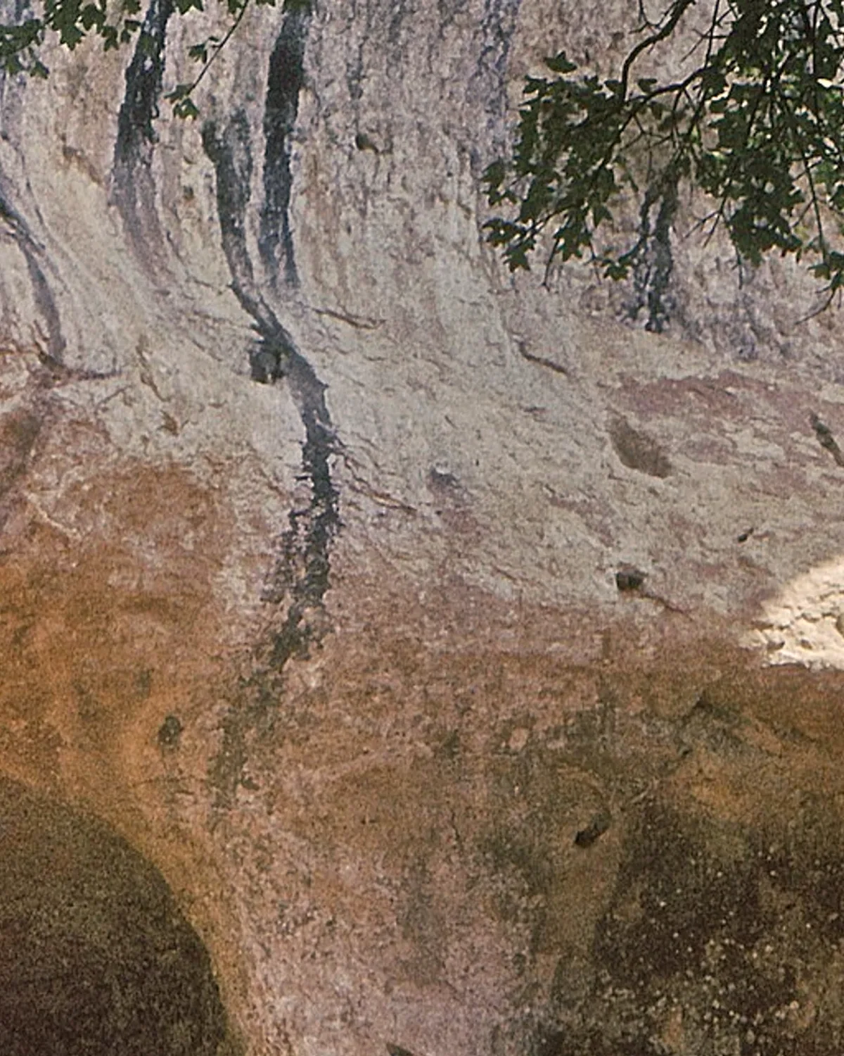 La falaise de calcaire striée de noir au-dessus de l'entrée de Font-de-Gaume.