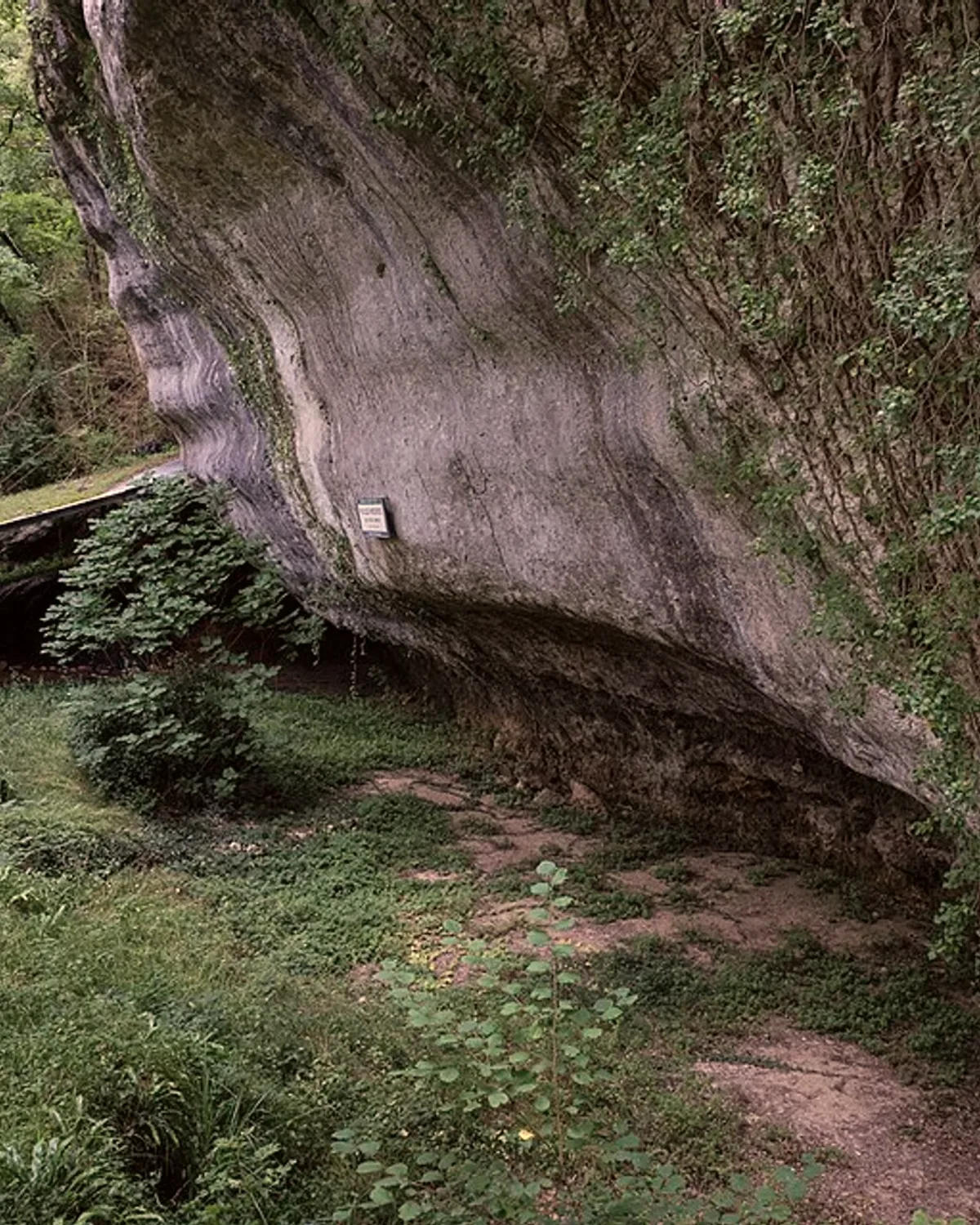 Le grand surplomb de roche de la Madeleine, au-dessus d'un sentier dans l'herbe.