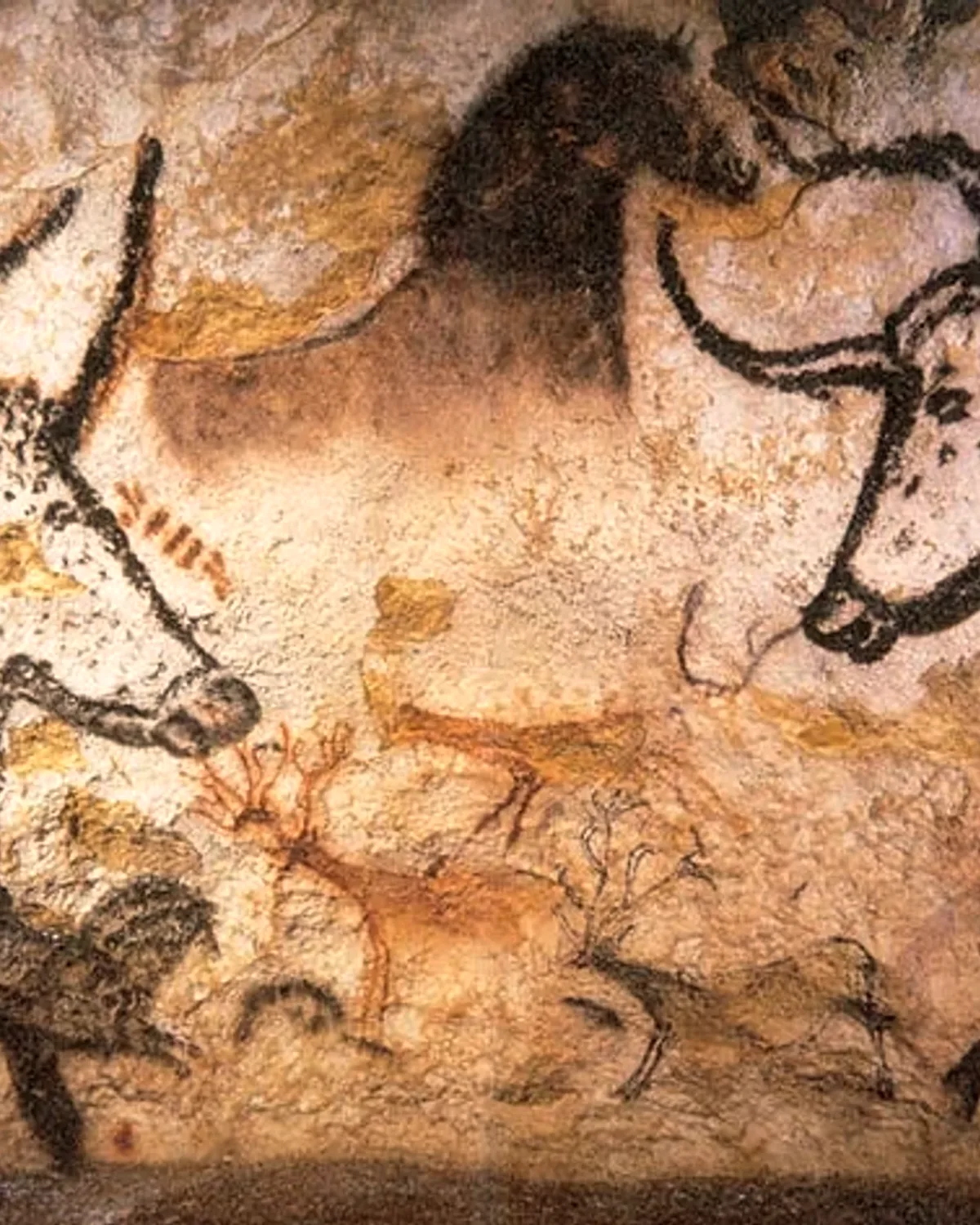 Aurochs, chevaux et cerfs peints en noir et en ocre sur la paroi de Lascaux.