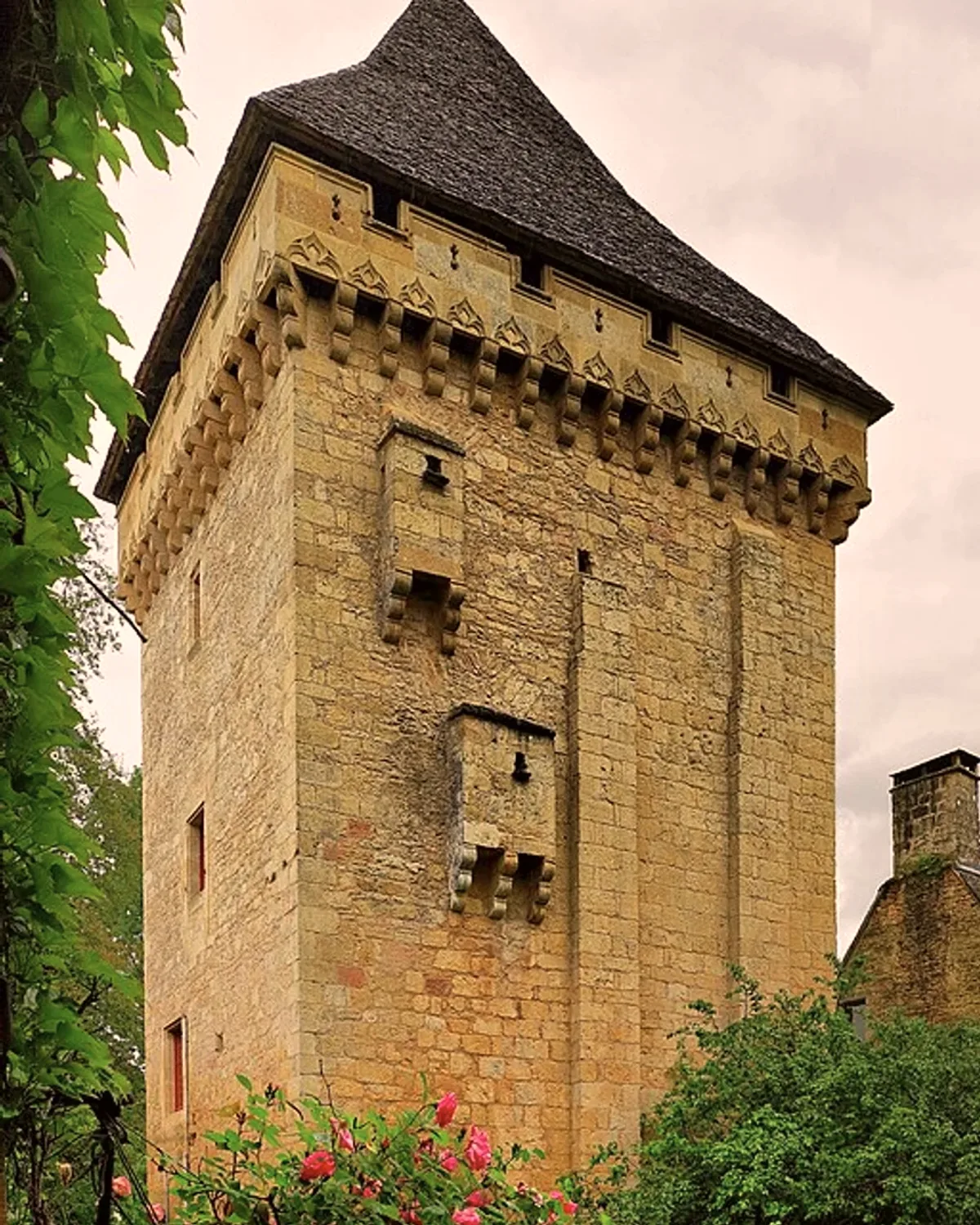 Le donjon carré du manoir de la Salle, son toit de lauzes et ses mâchicoulis, derrière des rosiers.