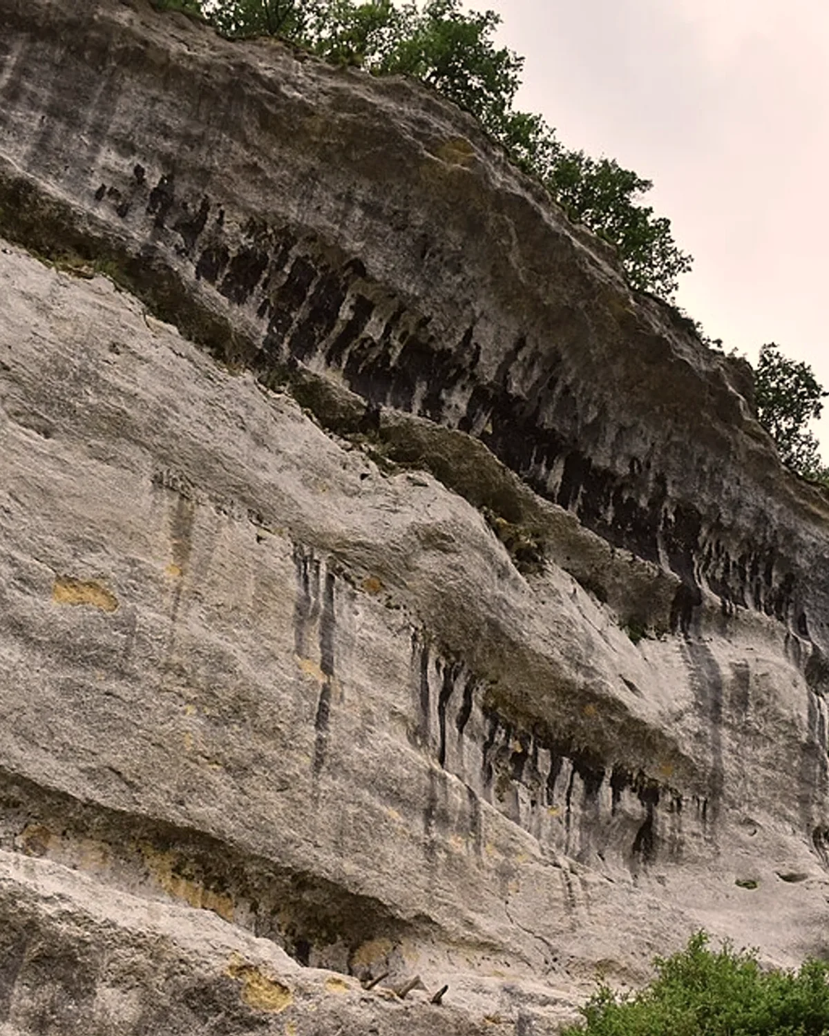 La falaise grise de la Roque Saint-Christophe, ses corniches et ses abris noircis, sous les arbres.